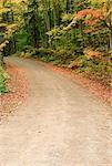 Road, Muskoka, Ontario Canada