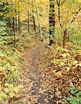 Rouge River Valley Park, Scarborough, Ontario, Canada