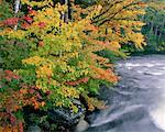 Oxtongue Rapids Park, Muskoka, Ontario, Canada