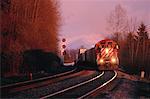 Train et la voie ferrée, la vallée du Fraser, en Colombie-Britannique, Canada