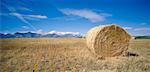 Hay Bale, Waterton Lakes National Park, Alberta, Canada