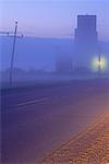 Foggy Dawn near Grandview, Manitoba, Canada