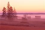 Bâtiments au coucher du soleil, Alberta, Canada