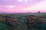 Open Gate and Field, Alberta, Canada