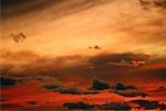 Sonnenuntergang, Kardinal Kluft, Alberta, Kanada
