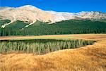 Marsh, Col Bow, Parc National Banff, Alberta, Canada