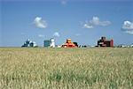 Élévateurs à grain, blé champ, Saskatchewan, Canada