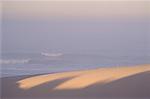 Dunes de sable près de l'océan Atlantique, Boulderbaai, Province du Cap, Afrique du Sud