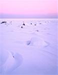 La baie Georgienne en hiver, le Parc Provincial Awenda, Ontario, Canada