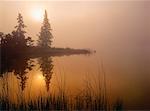 Brumeux Sunrise, Talbot Lake, Parc National Jasper, Alberta, Canada