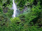Famine Creek Falls, Columbia River Gorge, Oregon, Etats-Unis