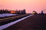 S'entraînent au coucher du soleil, des Prairies canadiennes, Canada