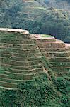 Rice Terraces at Banaue, Province of La Union, Philippines