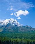 Paysages de montagne, le Parc National Jasper, Alberta, Canada