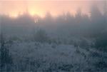 Morning Mist & Frost, near Kingston, New Brunswick, Canada