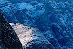 Near Moraine Lake, Banff National Park, Alberta, Canada