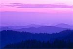 Dusk, Sequoia National Park, California, USA