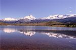 Andes de Patagonie, Argentine