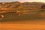 Desert with Trees, Namibia