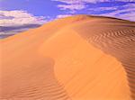 Athabasca Dunes, Northern Saskatchewan, Canada