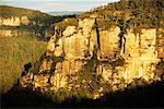 Wald und Cliff bei Sonnenaufgang Jamison Valley, Blue Mountains New South Wales, Australien