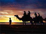 Promenade en chameau sur la plage de Cable Beach Australie