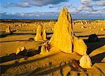 Le Pinnacles, Parc National de Nambung, Australie occidentale Australie