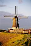 Windmill and Small Town Netherlands