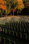 Cimetière des anciens combattants