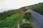 Rural Road, Ireland