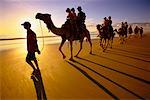 Camel Ride at Cable Beach Broome, Western Australia