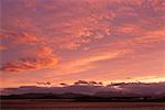 Tierra del Fuego Argentine