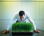 Businessman Leaning over Grass in Boardroom