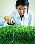 Femme coupe herbe au bureau