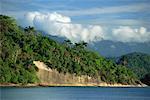 Forêt littoral au Brésil, en Amérique du Sud