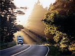 Transport Truck on Road through Forest California, USA