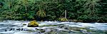 River in Forest Cascade Mountains Oregon, USA