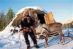 Laplander with Reindeer Lapland, Sweden