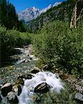 King Creek Kananaskis Country (Alberta), Canada