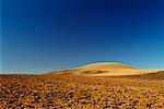 Mountain Desert Richtersveld Cape Province, South Africa