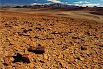 Mountain Desert Richtersveld Cape Province, South Africa