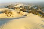 Sanddünen und Sträucher Boulderbaai, Provinz Ostkap in Südafrika Afrika