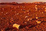 Parc National du Richtersveld de désert rocheux en Afrique du Sud