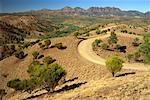 Road, Parc National des Flinders Ranges, Australie