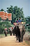 Annual Elephant Round-Up Surin, Thailand