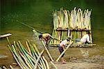 Männer Gebäude Bambus Raft Quan Hoa Dorf Vietnam