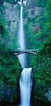 Multnomah Falls Columbia River Gorge Oregon, USA