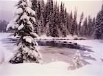 Lac Emerald en hiver le Parc National Yoho en Colombie-Britannique, Canada