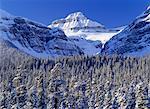 Mountains over Forest Banff National Park Alberta Canada