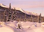 Montagnes dans le Parc National de Jasper (Alberta), Canada